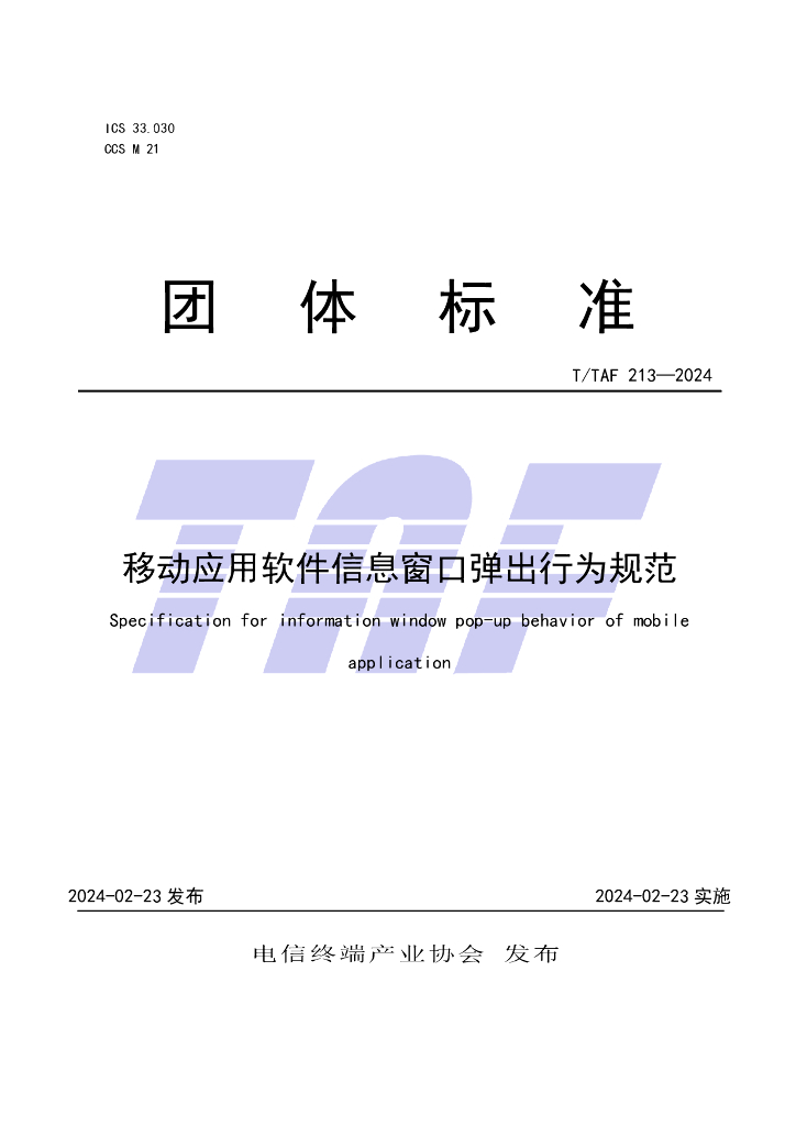 T/TAF 213-2024 标准预览