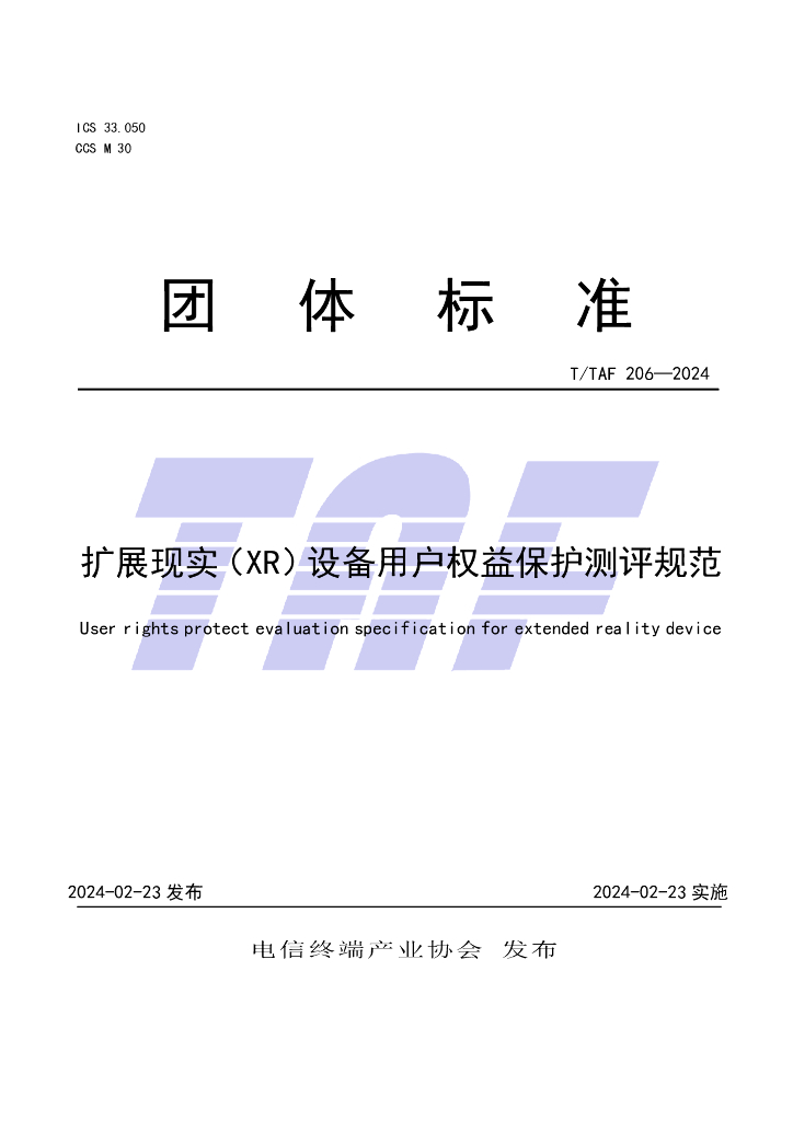 T/TAF 206-2024 标准预览