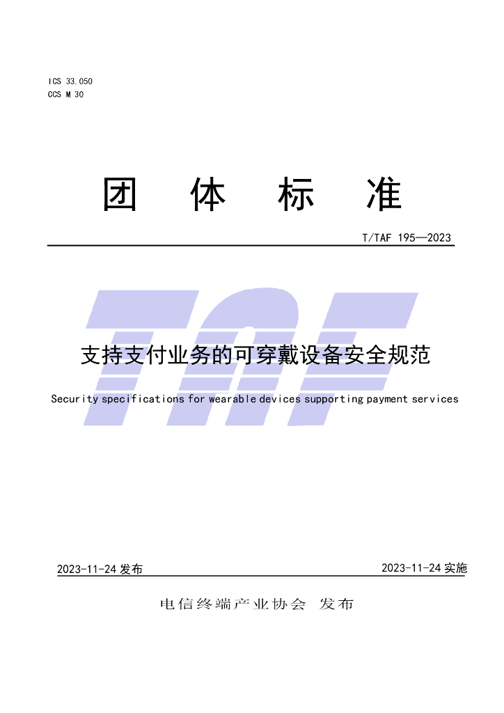 T/TAF 195-2023 标准预览