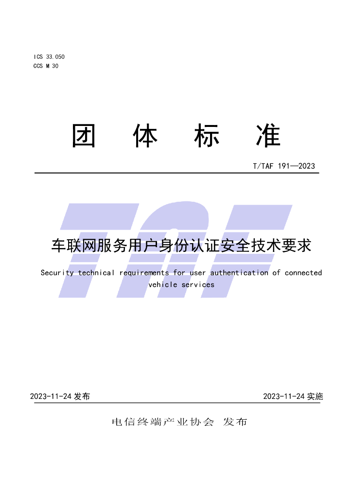 T/TAF 191-2023 标准预览