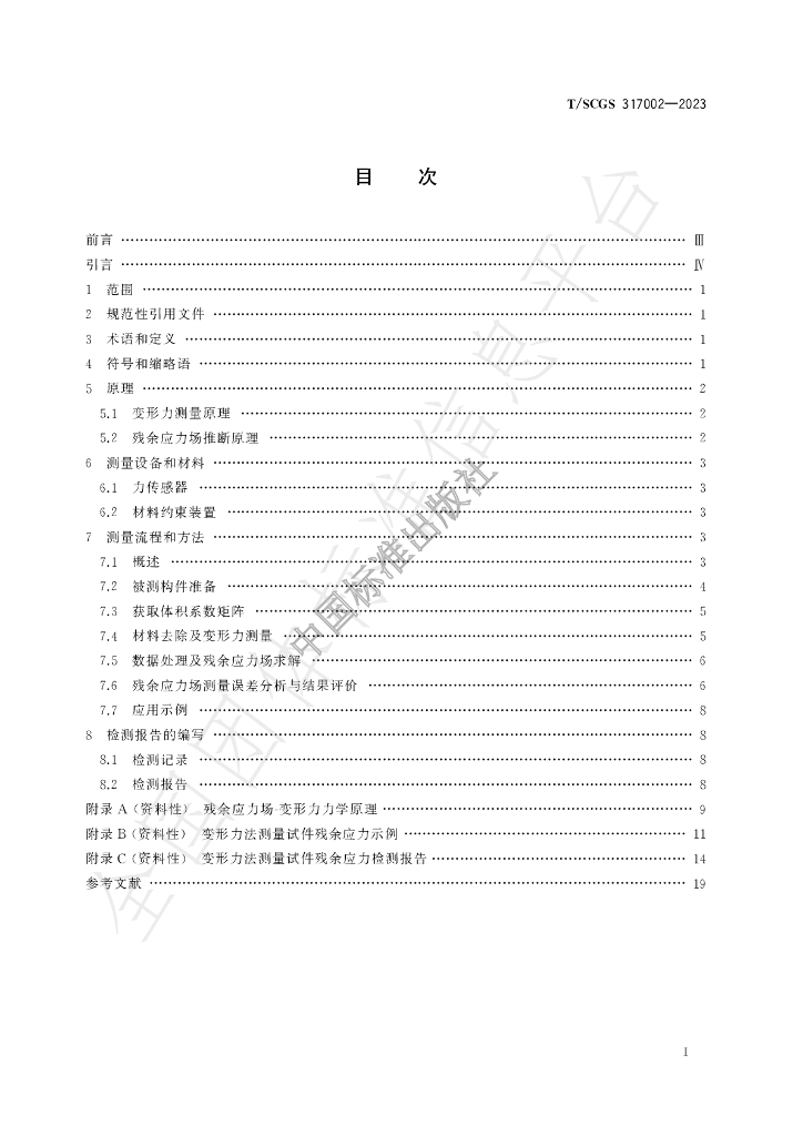 T/SCGS 317002-2023 标准预览