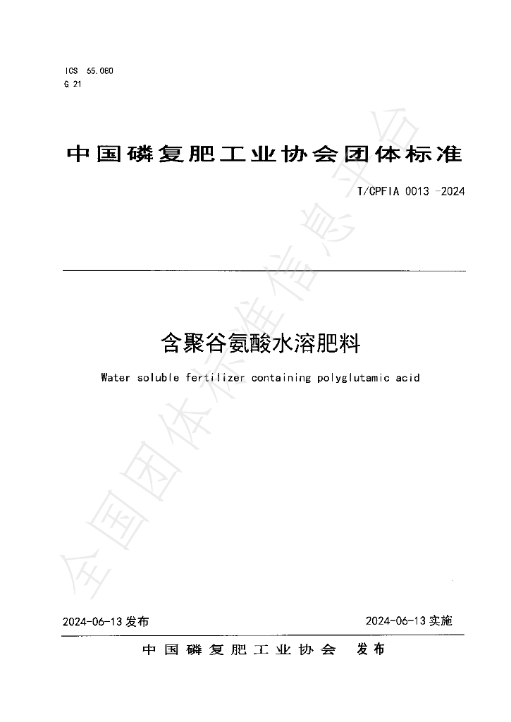 T/CPFIA 0013-2024 标准预览