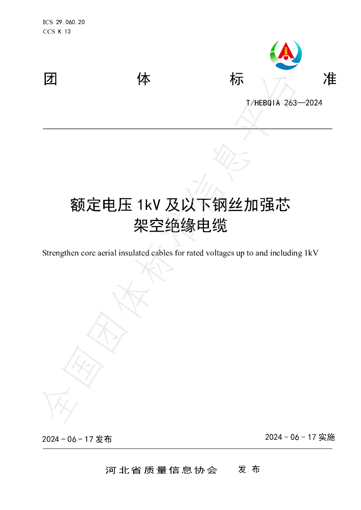 T/HEBQIA 263-2024 标准预览