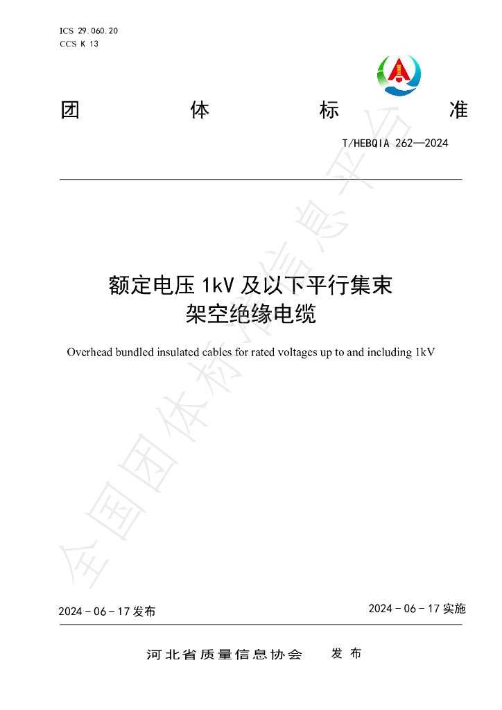 T/HEBQIA 262-2024 标准预览
