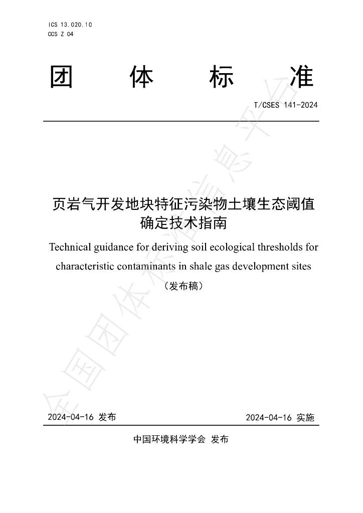 T/CSES 141-2024 标准预览