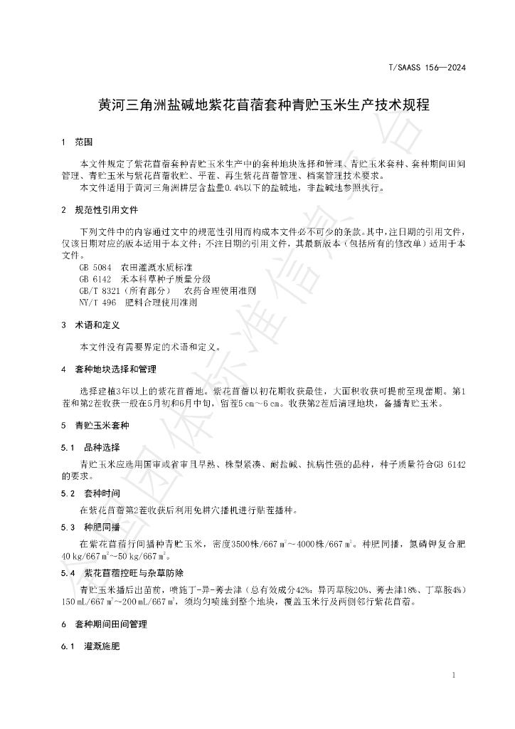 T/SAASS 156-2024 标准预览