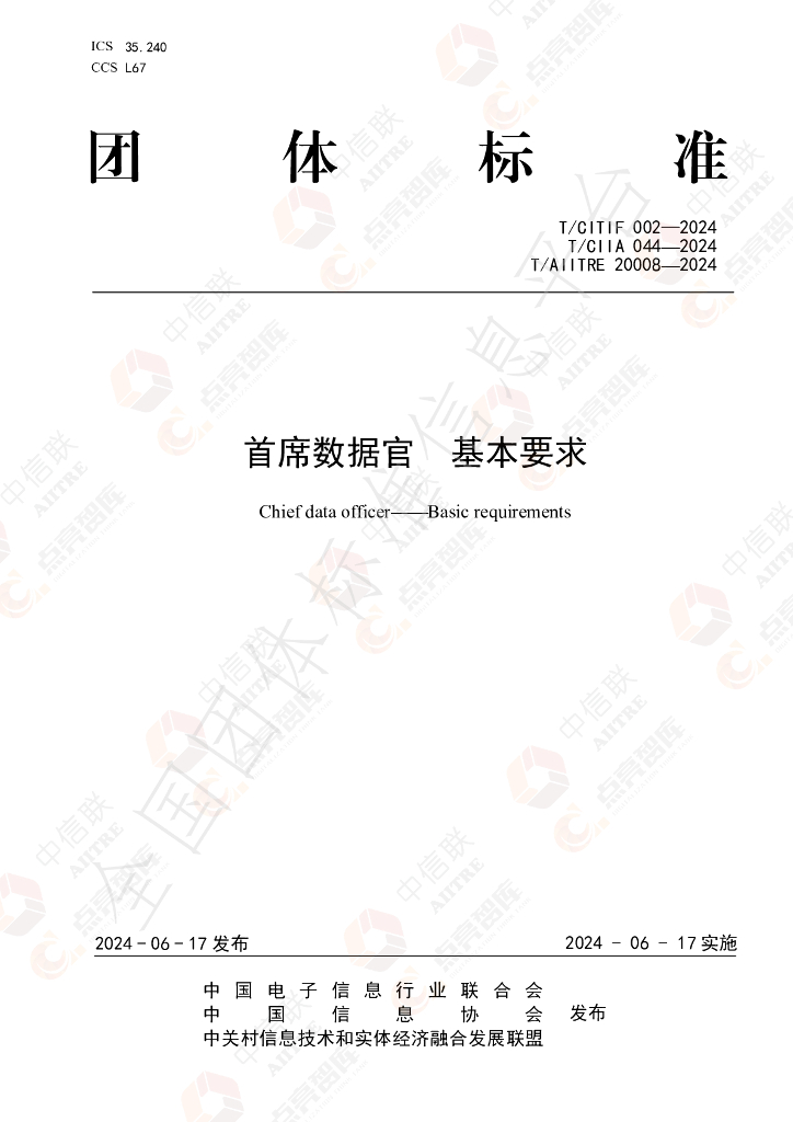 T/AIITRE 20008-2024 标准预览