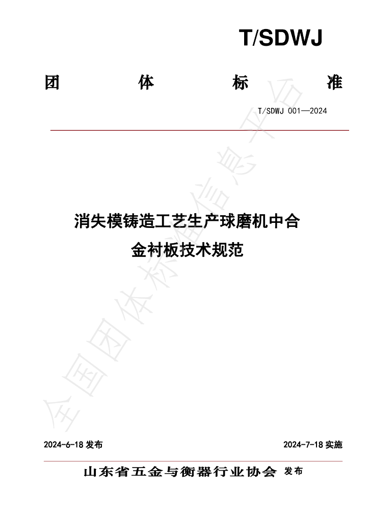 T/SDWJ 001-2024 标准预览
