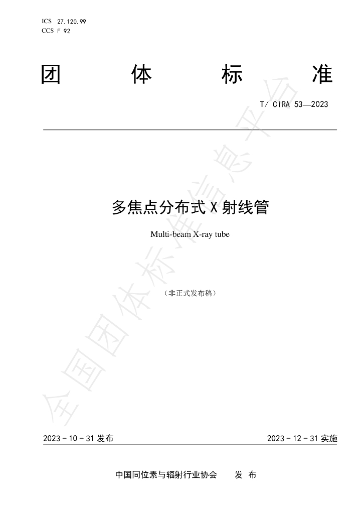 T/CIRA 53-2023 标准预览