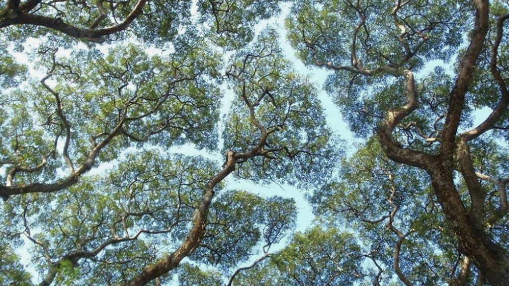 Mastering the Data Evolution：AI, Graph Modeling, & Tactical Curation_Rudden_opt_第7页