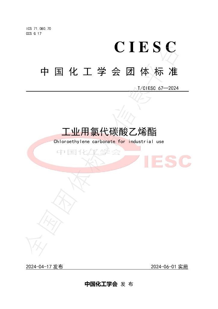 T/CIESC 67-2024 标准预览