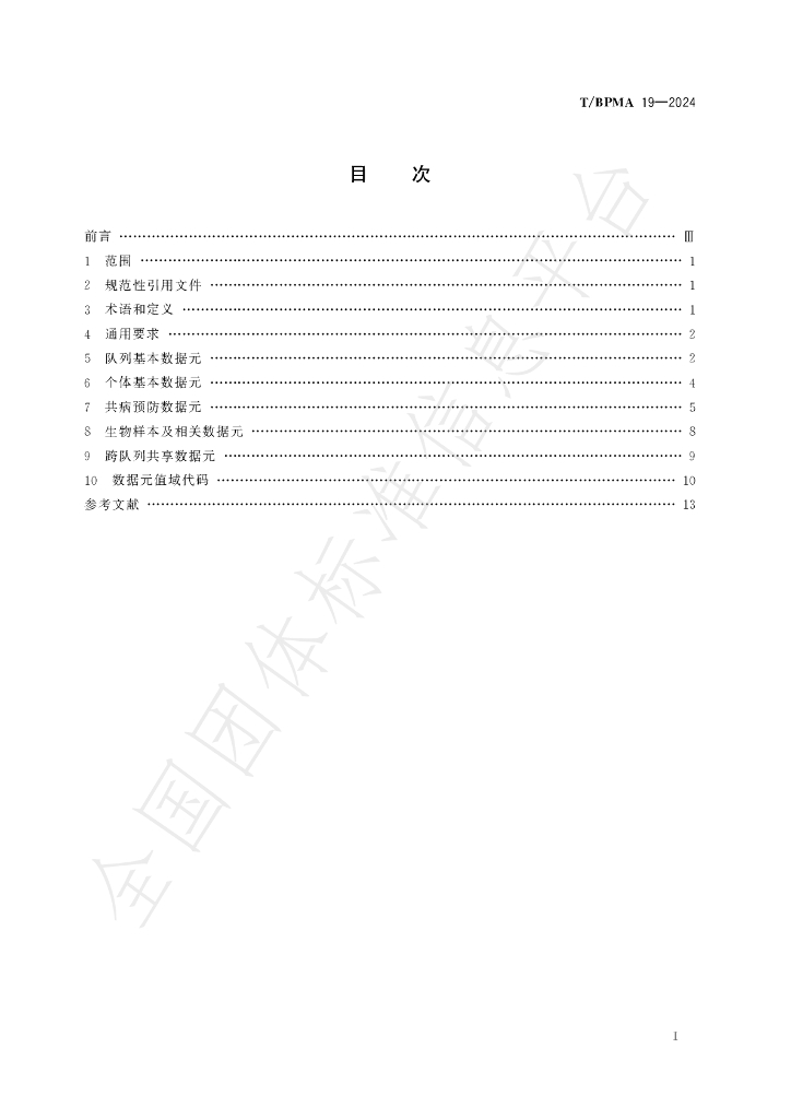 T/BPMA 19-2024 标准预览