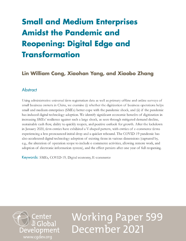大流行与重开中的中小企业：<em>数字化</em>边缘与<em>转型</em>（英文版） 海报