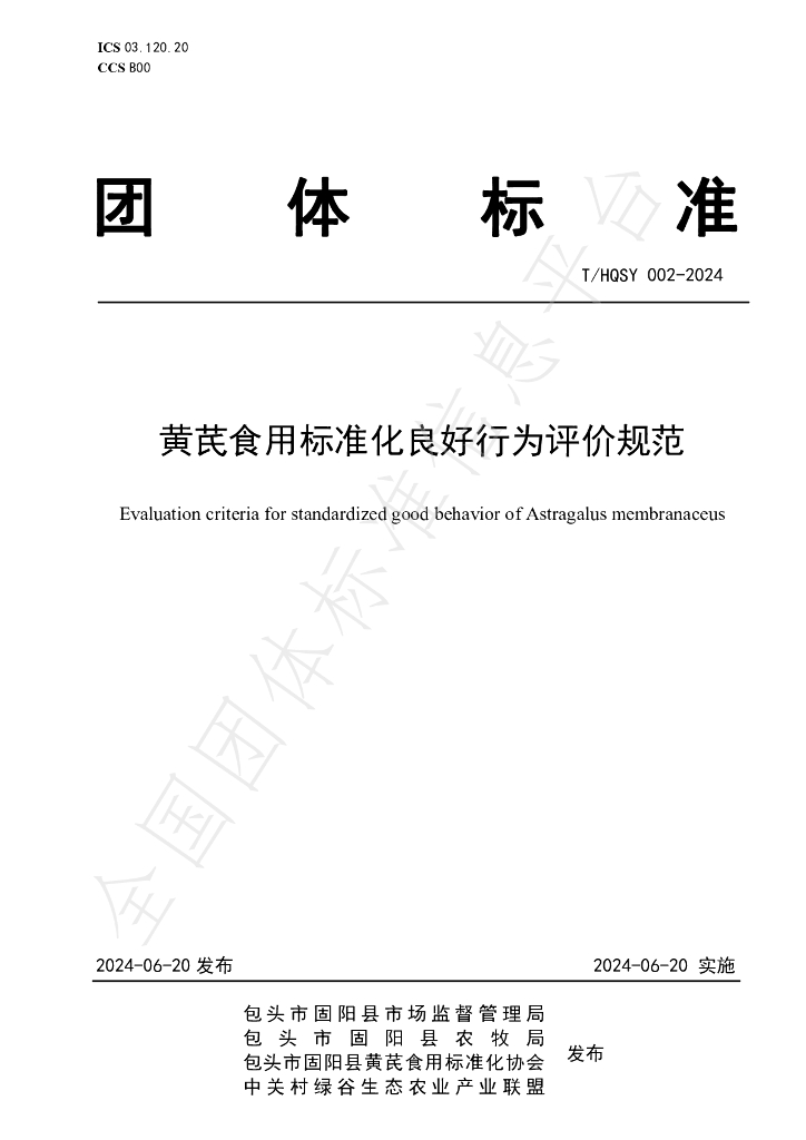 T/HQSY 002-2024 标准预览