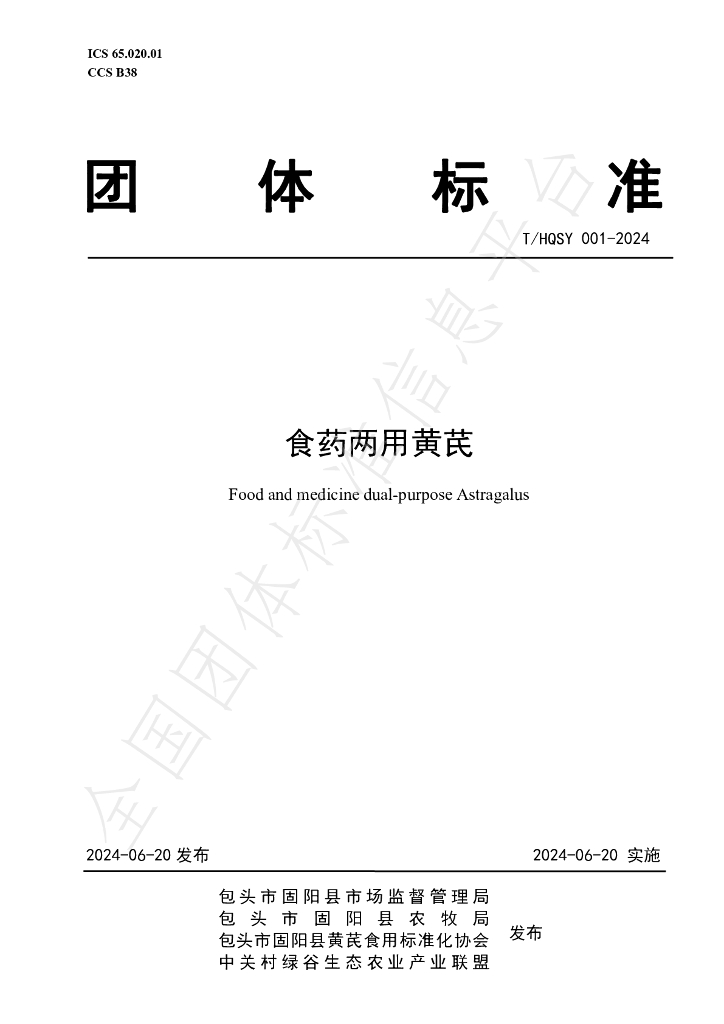 T/HQSY 001-2024 标准预览