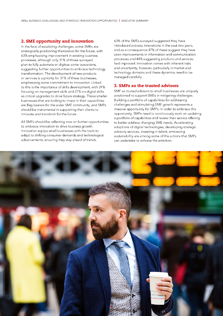 ACCA：2024中小型企业：业务挑战与战略创新机遇报告（英文版）_第6页