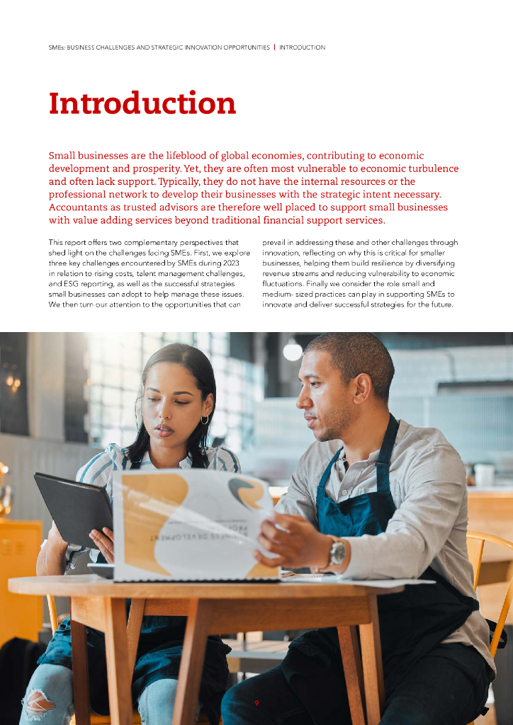 ACCA：2024中小型企业：业务挑战与战略创新机遇报告（英文版）_第9页