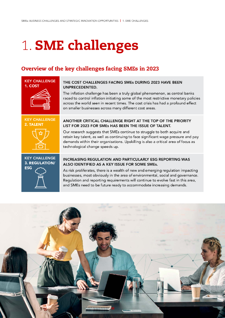 ACCA：2024中小型企业：业务挑战与战略创新机遇报告（英文版）_第10页