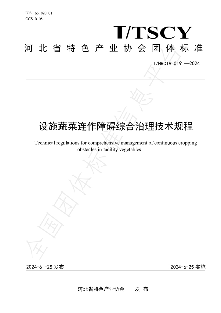 T/HBCIA 019-2024 标准预览