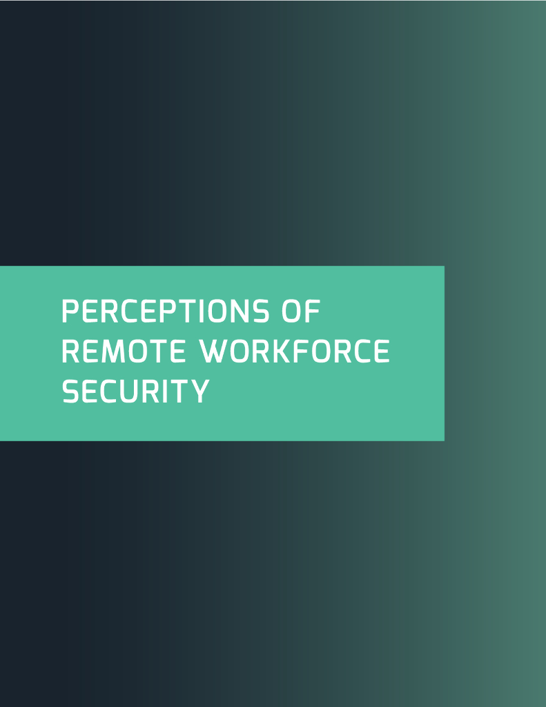 Cybersecurity&SpyCloud：2021年远程办公安全报告（英文版）_第8页