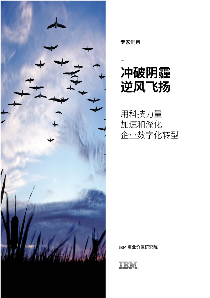 IBM商业价值研究院：2020用科技力量加速和深化企业<em>数字化转型</em>报告 海报