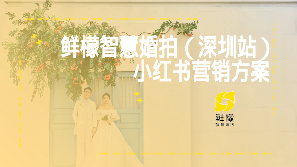 婚纱旅拍品牌小红书营销方案