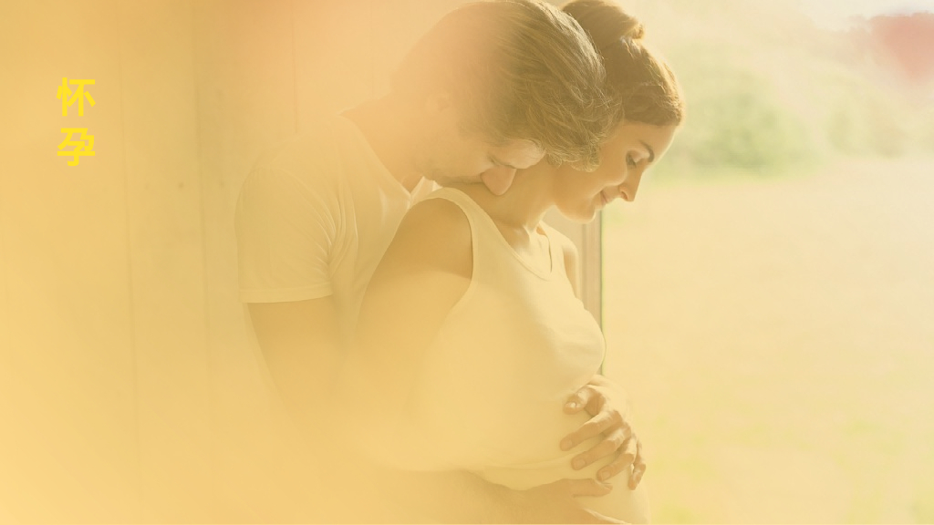 婚纱旅拍品牌小红书营销方案_第4页