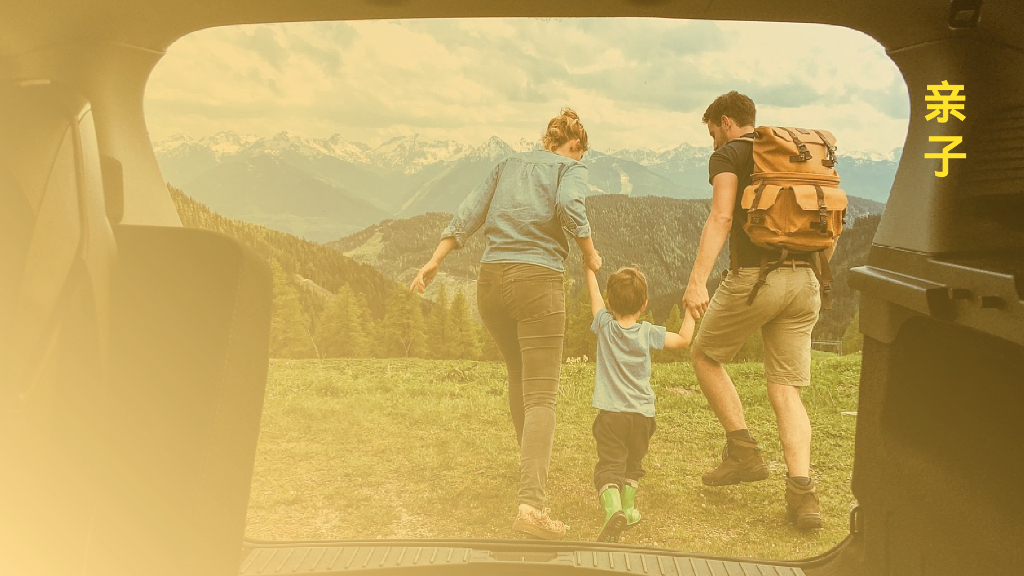 婚纱旅拍品牌小红书营销方案_第5页