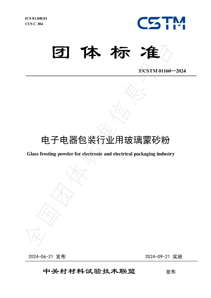 T/CSTM 01160-2024 标准预览