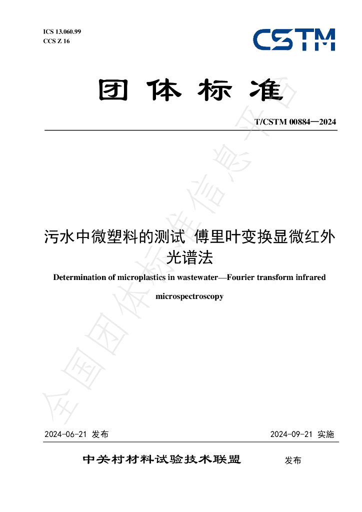 T/CSTM 00884-2024 标准预览