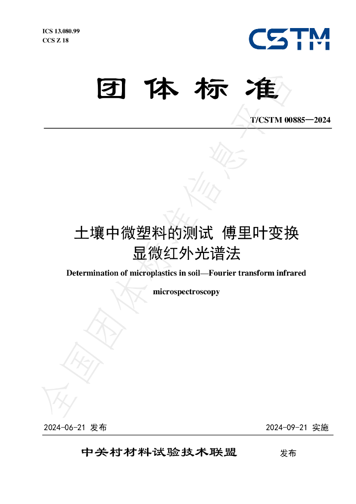 T/CSTM 00885-2024 标准预览
