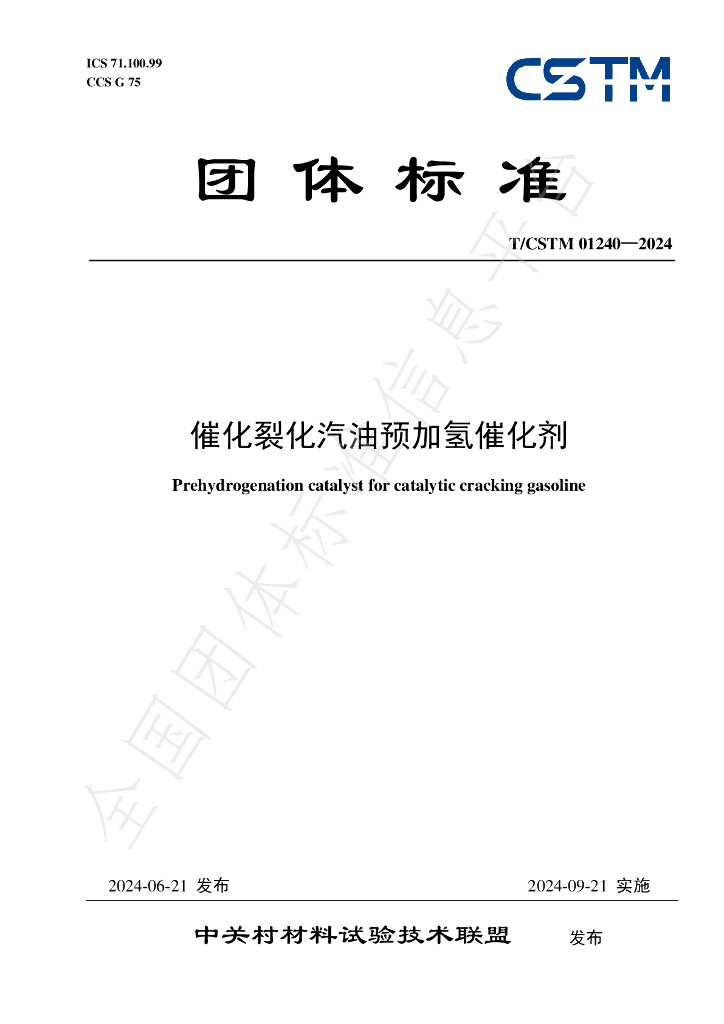 T/CSTM 01240-2024 标准预览