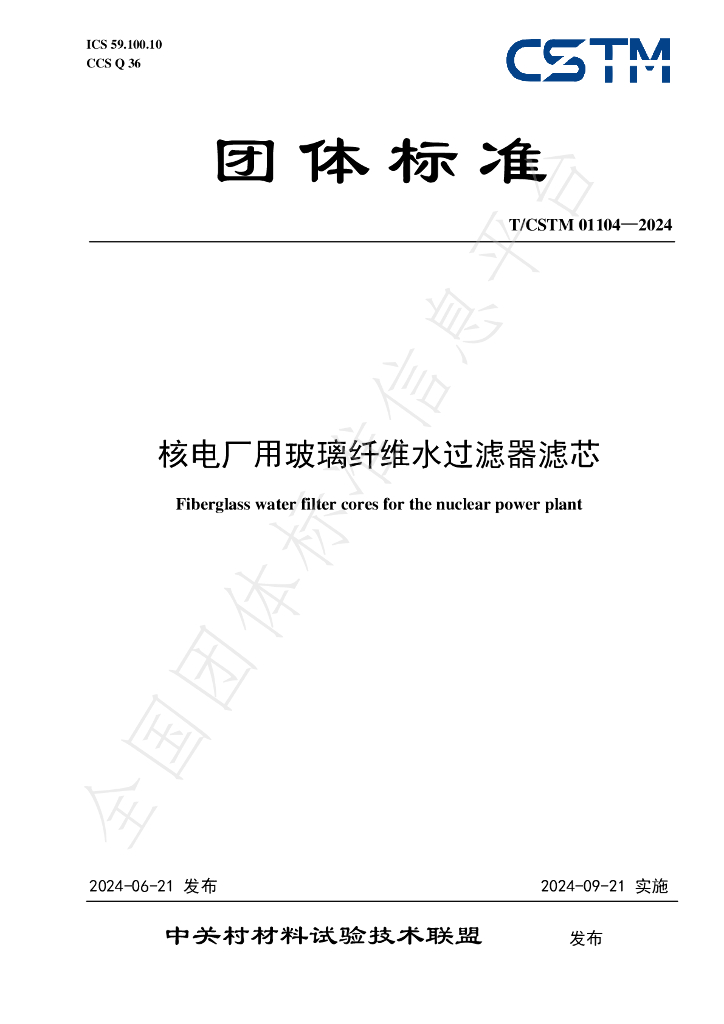 T/CSTM 01104-2024 标准预览