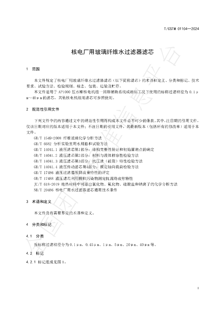 T/CSTM 01104-2024 标准预览