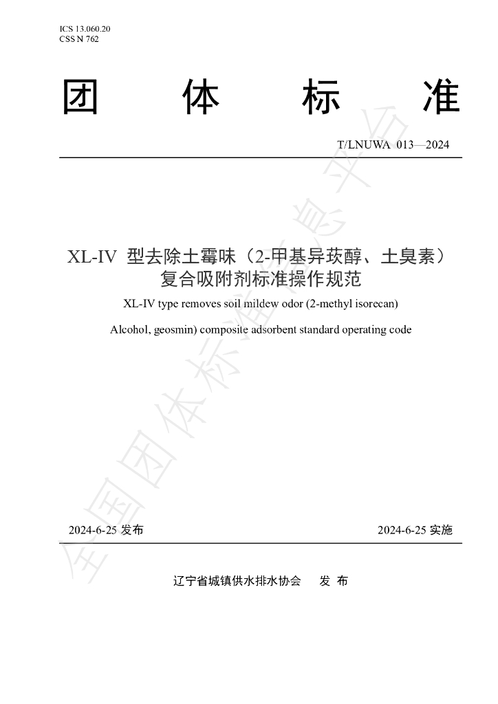 T/LNUWA 013-2024 标准预览