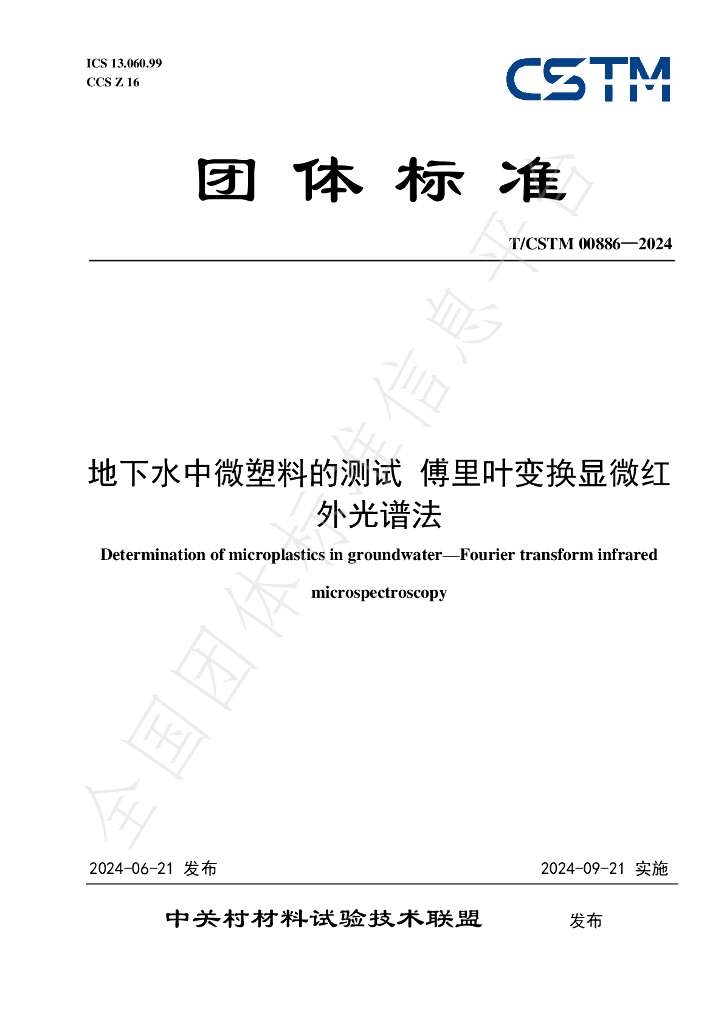 T/CSTM 00886-2024 标准预览