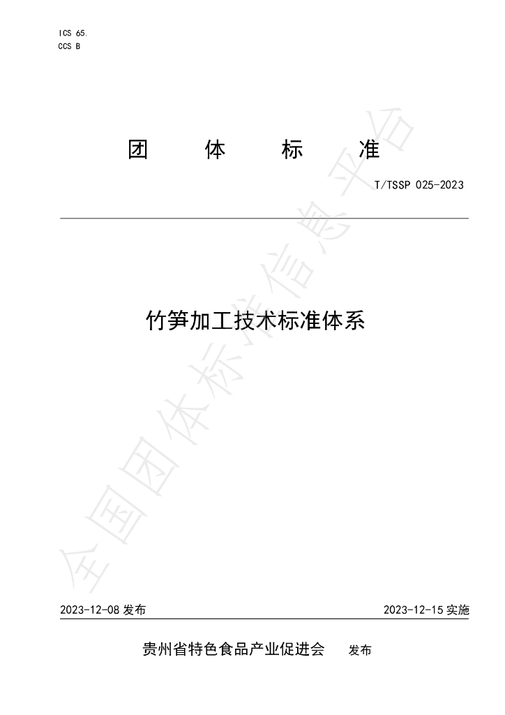 T/TSSP 025-2023 标准预览