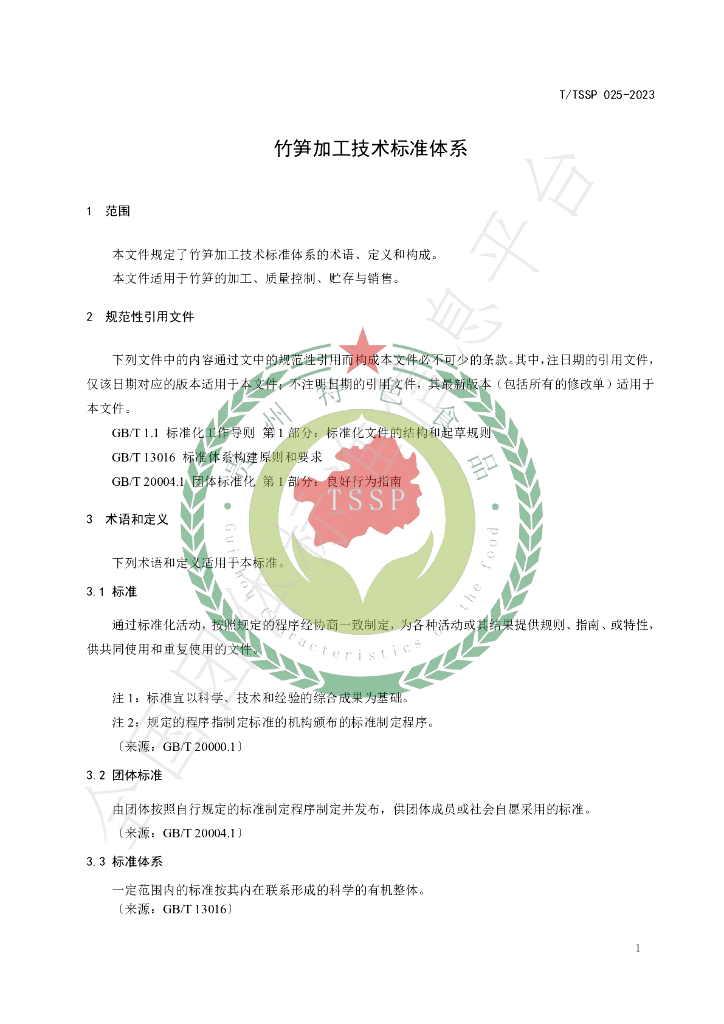 T/TSSP 025-2023 标准预览