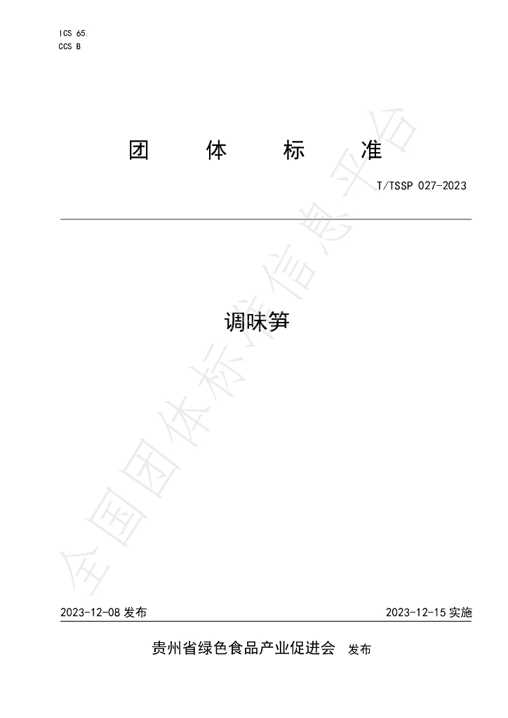 T/TSSP 027-2023 标准预览