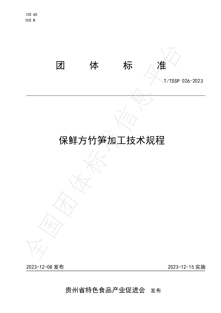 T/TSSP 026-2023 标准预览