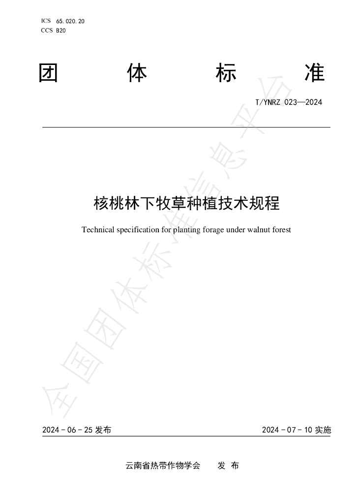 T/YNRZ 023-2024 标准预览