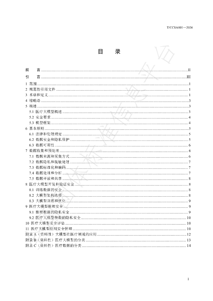 T/BMISC 001-2024 标准预览