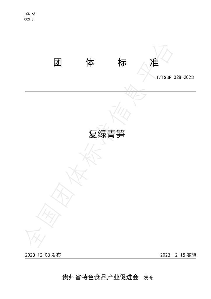 T/TSSP 028-2023 标准预览