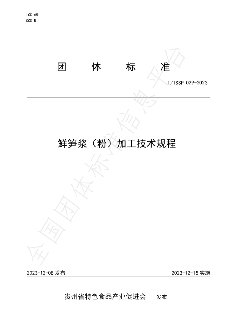 T/TSSP 029-2023 标准预览