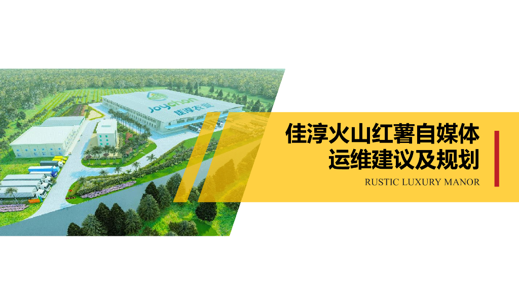 佳淳农业：火山红薯自媒体运维建议及规划