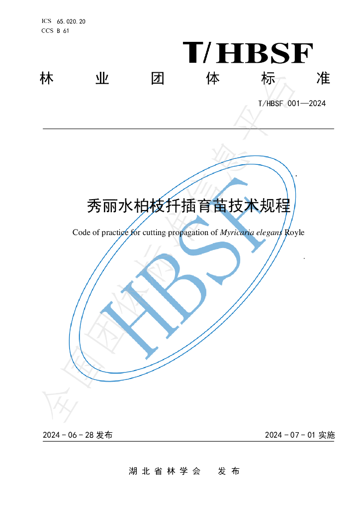 T/HBSF 001-2024 标准预览