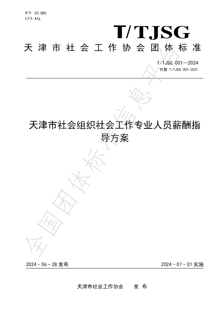 T/TJSG 001-2024 标准预览