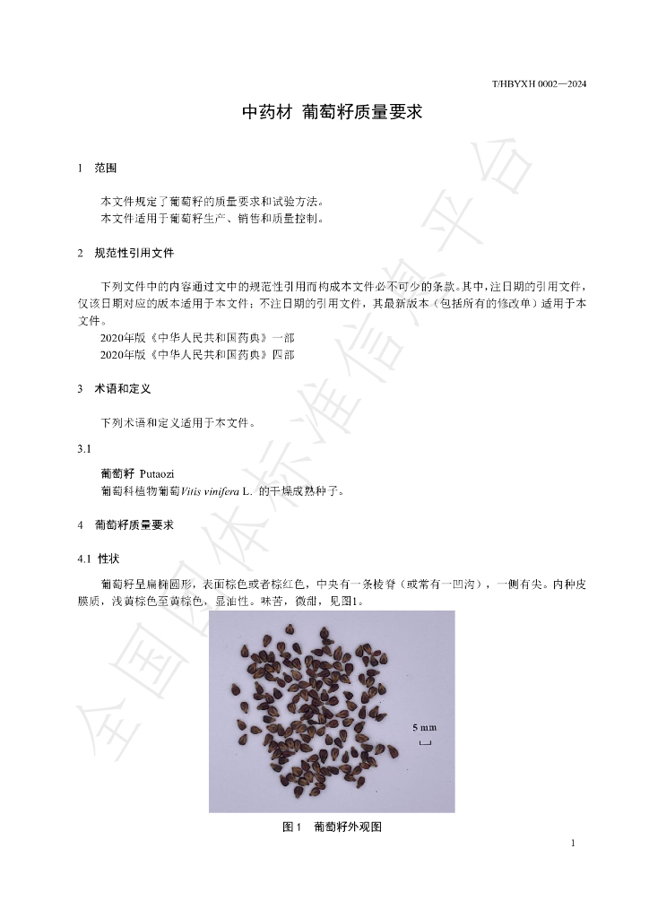 T/HBYXH 0002-2024 标准预览