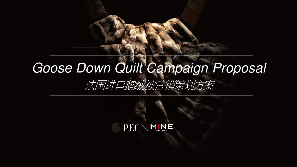 法国进口鹅绒被营销策划方案