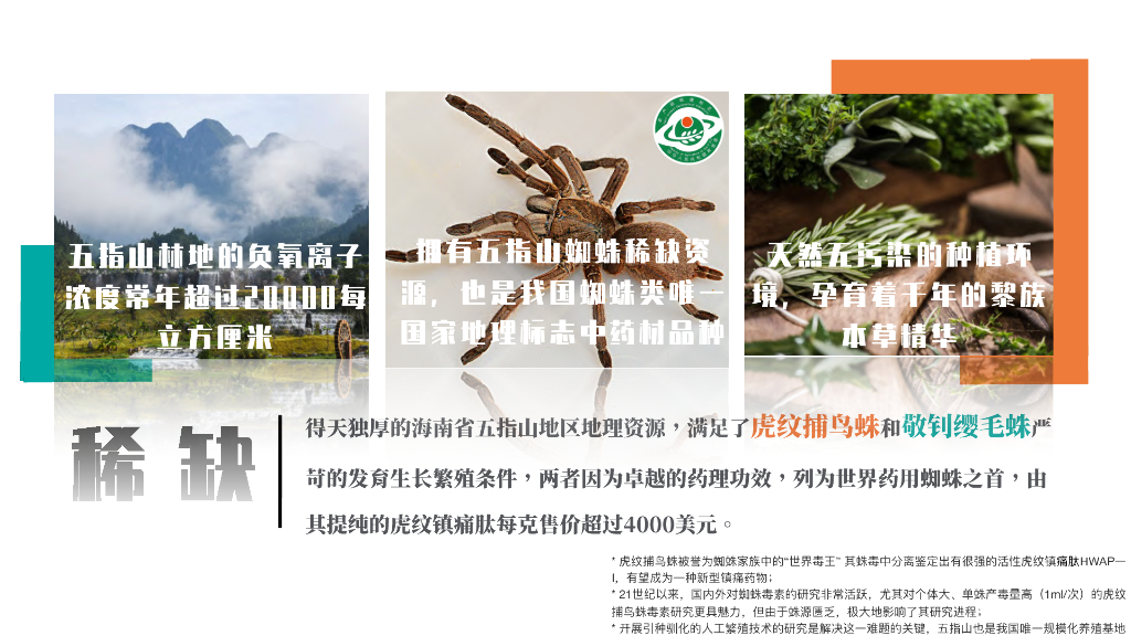 蛛王：轻中医 新健康 _第3页